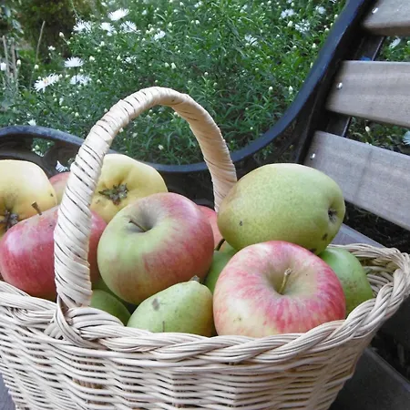 Apartamento Koogsbauernhaus