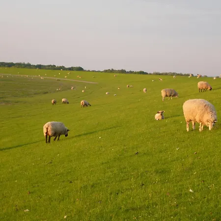 Koogsbauernhaus Apartamento