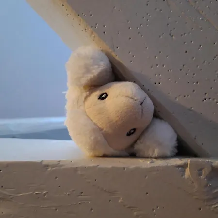 Koogsbauernhaus * Tumlauer Koog