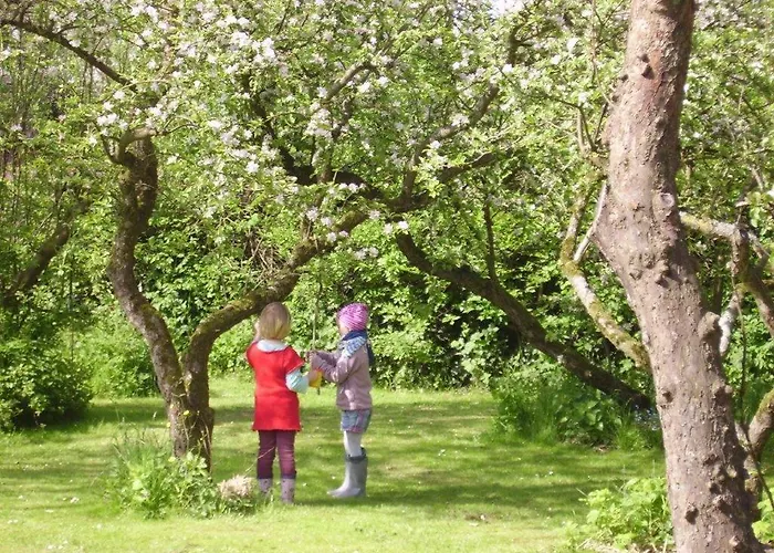 Apartamento Koogsbauernhaus *