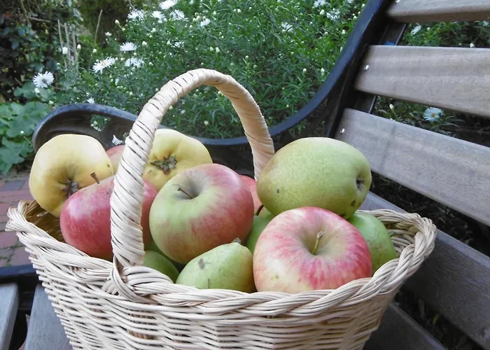 Apartamento Koogsbauernhaus