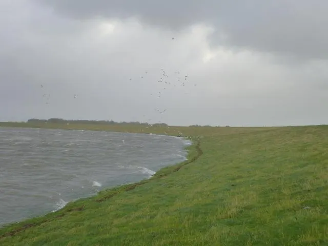 Apartamento Koogsbauernhaus Tumlauer Koog