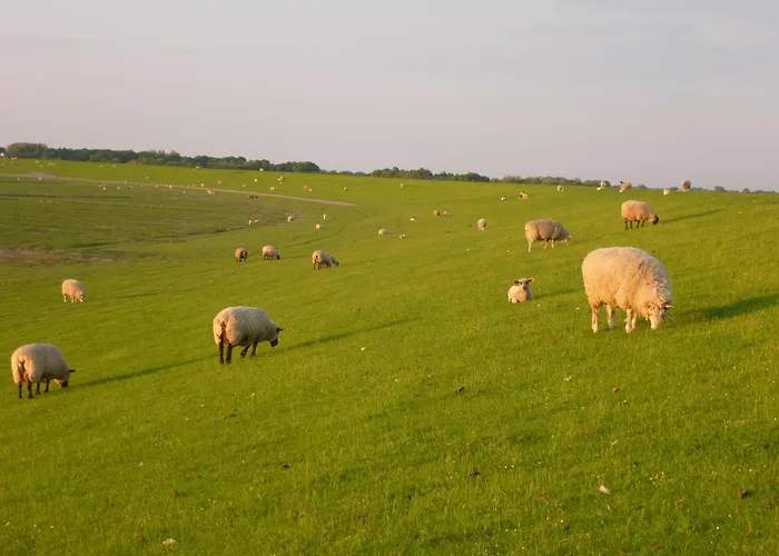 Koogsbauernhaus Apartamento