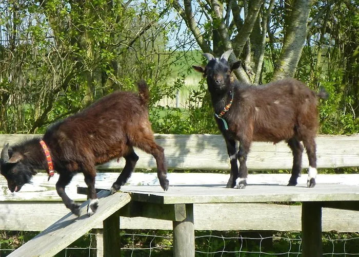 Koogsbauernhaus Apartamento
