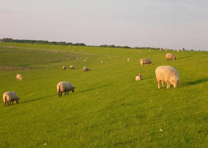 Apartamento Koogsbauernhaus *