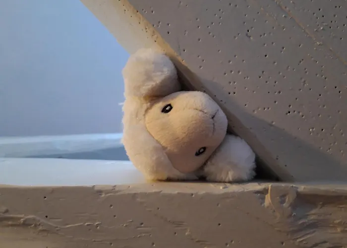 Koogsbauernhaus * Tumlauer Koog