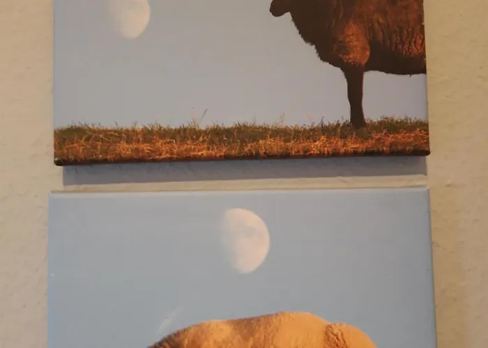 Koogsbauernhaus Apartamento *